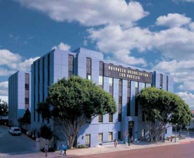 Haladó Szervezet, Los Angeles, Kalifornia 
